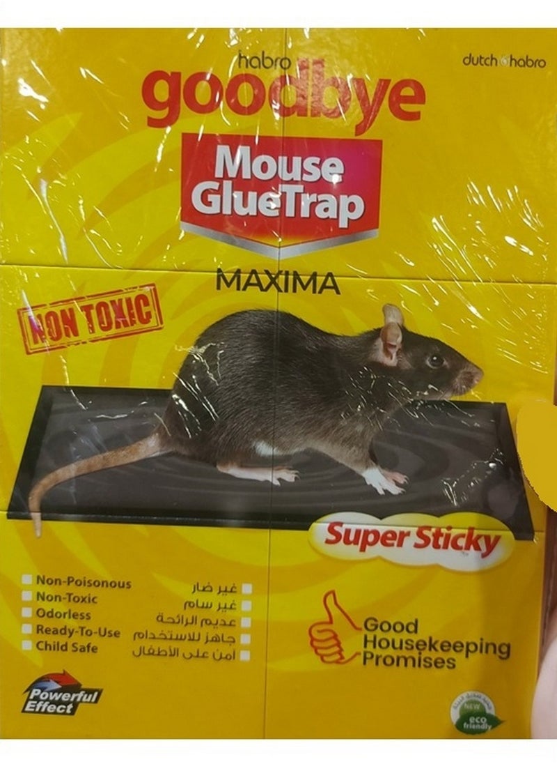 Dutch & Habro Goodbye Mouse Glue Trap Maxima Yellow 