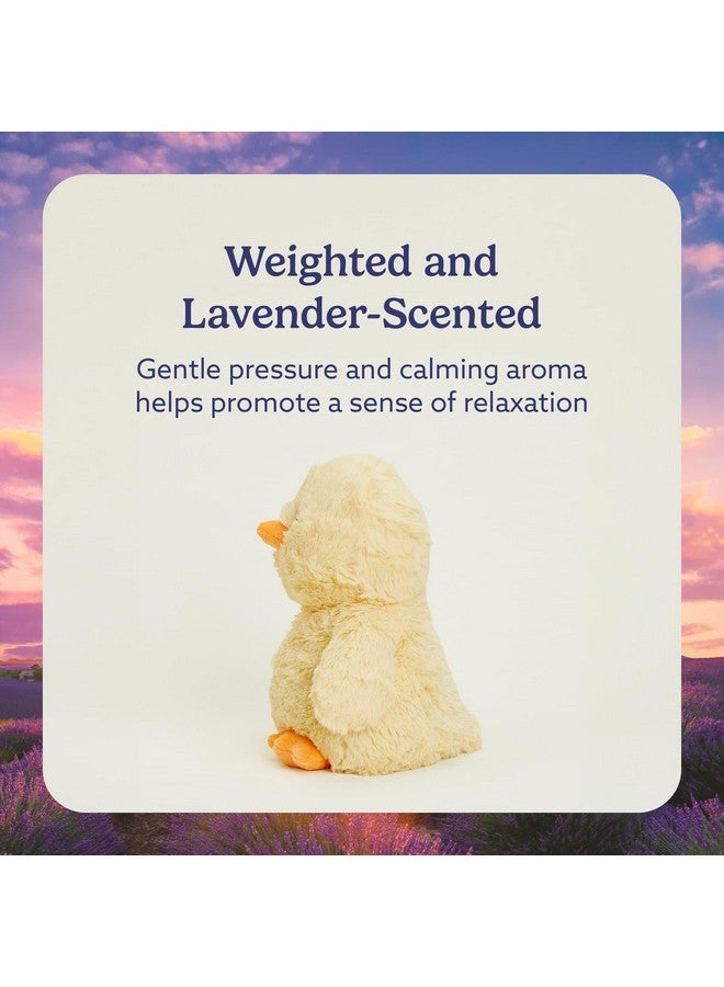 Warmies دمى دافئة قابلة للتسخين بالميكروويف ووزنها، دجاجة - دمية محشوة مدفأة للدفء والراحة - ألعاب محشوة ناعمة لطيفة للبالغين والأطفال (الأولاد، البنات، الرضع والأطفال الصغار) - Image 3