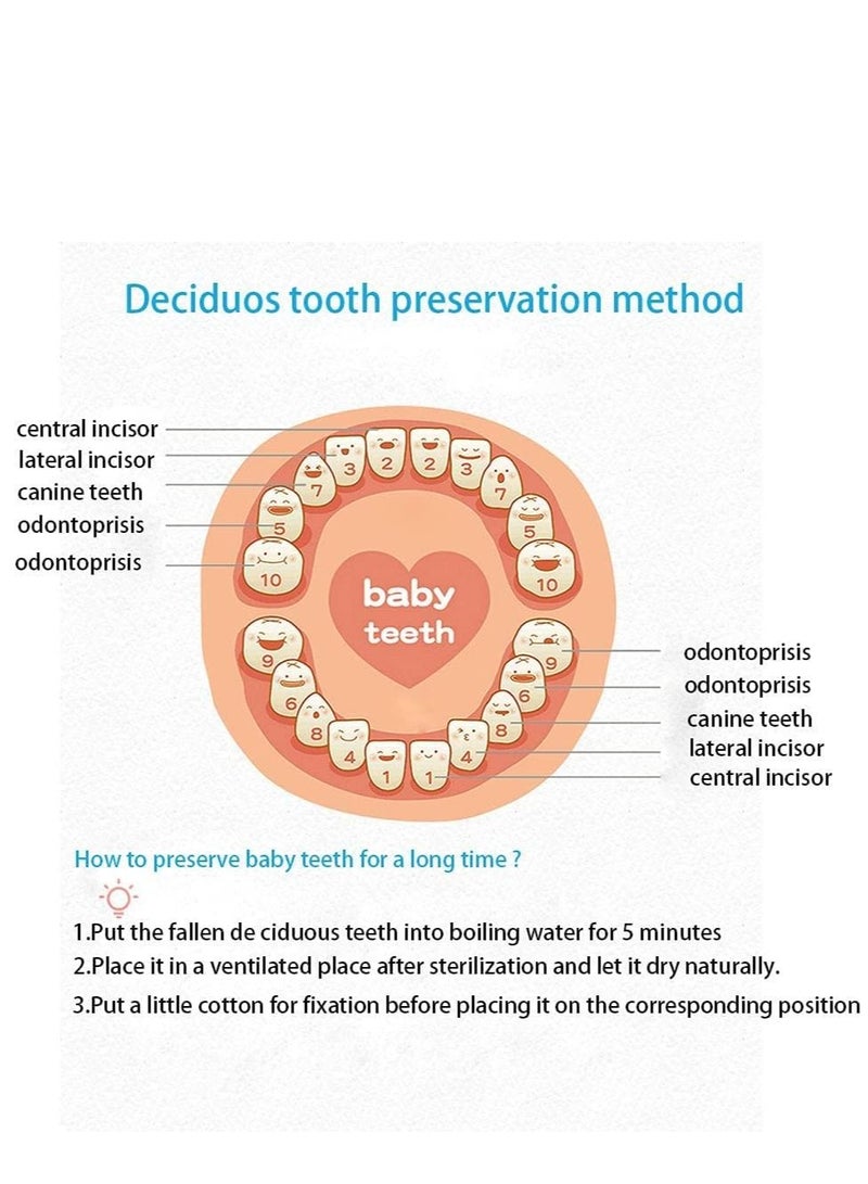 Excefore Tooth Box, Personality Wooden Kids Keepsake Organizer for Baby Teeth and Hair Photo, Shower & Birthday Gift, Storage Memory - Image 4