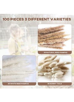 Generic 100 Pcs Dried Pampas Grass Dried Flowers Of Small Reeds Boho Natural Flowers Arrangements White Reed Bunny Tails for Home Decor Flower Living Room Balcony Wedding Party 