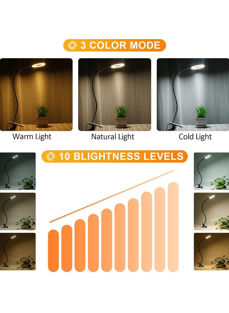 KASTWAVE - Desklamp, Clip on Reading Lights, USB Desk Lamp with 3 Color Modes and 10 Brightness, Eye Protection Clamp Light, 360° Flexible Gooseneck Clamp Lamp for Desk Headboard and Reading/Bed Light - Image 1