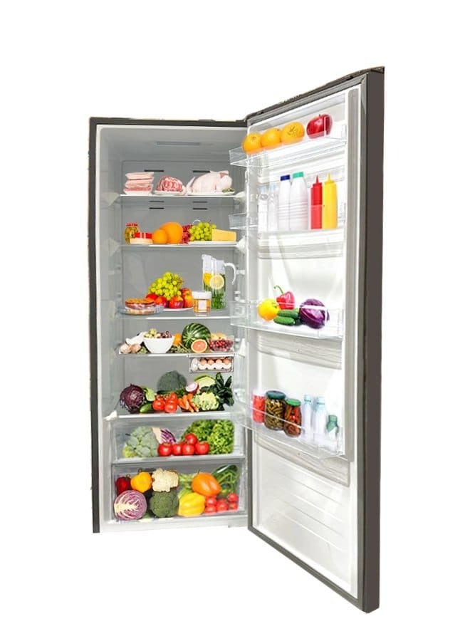 FISHER Upright Refrigerator - 13.5 Feet - FURS-H495DSW  - Image 2