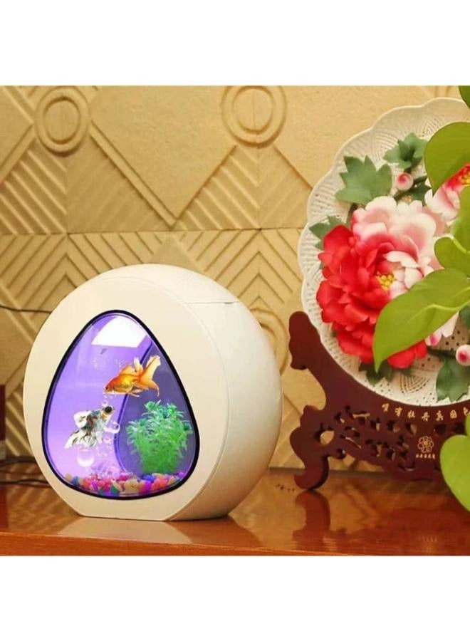 حوض السمك الإبداعي الصغير لسطح المكتب مع إضاءة LED بمقاسين - Image 2