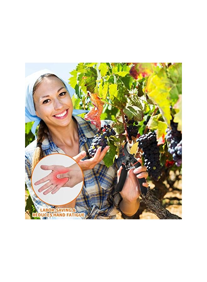 promass Pruning Shears for Gardening, Professional Bypass Pruning Shears and Micro-tip Garden Scissors, Sharp Stainless Steel Blade, Garden Clippers for Rose, Plant, Tree, Garden Fift - Image 5