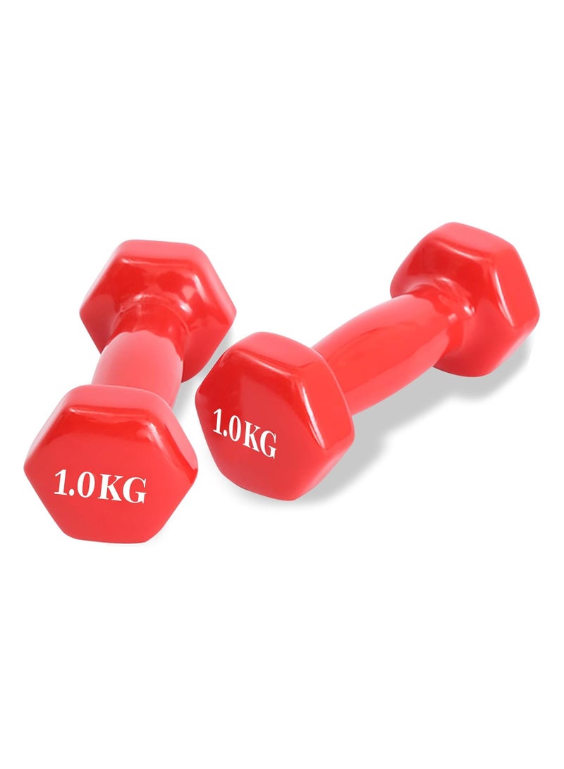 BJM Dumbbell Set-2, Hand Weights 1kgX2, Hexagonal Dumbbells for Women and Men, Home Fitness Equipment, Lightweight dumbbells for Daily Exercise, Workout, Fitness, 1kgX 2 (Red) - Image 1