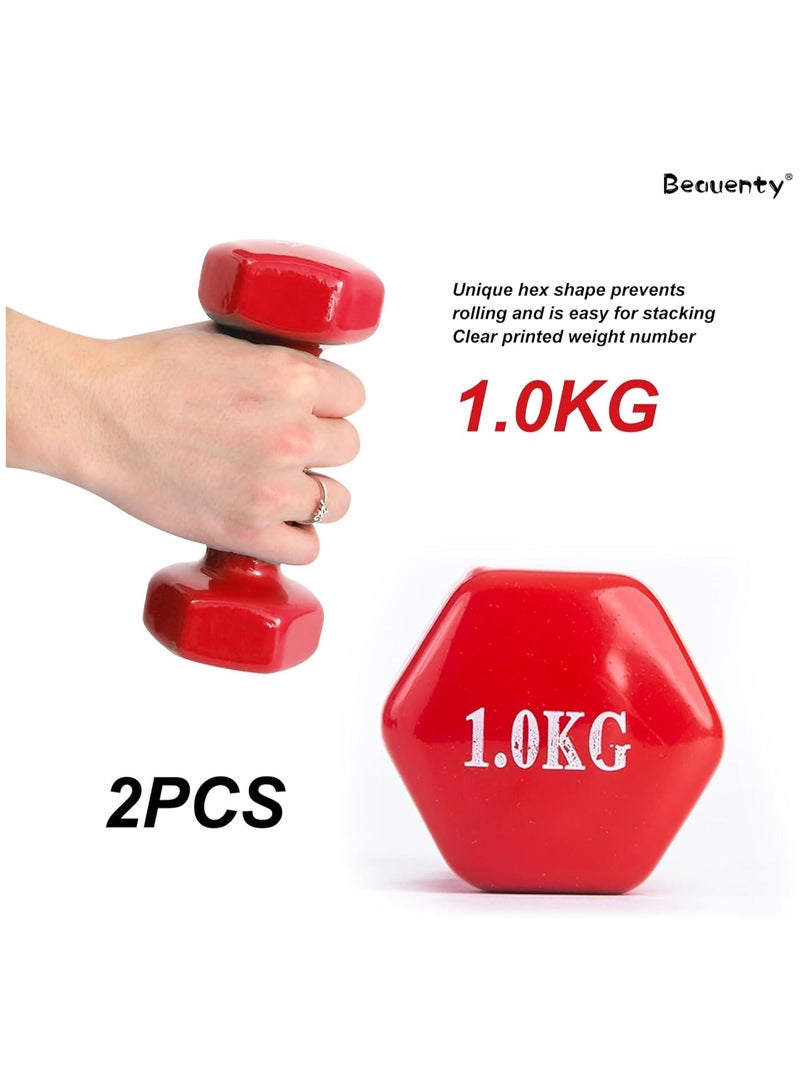 BJM Dumbbell Set-2, Hand Weights 1kgX2, Hexagonal Dumbbells for Women and Men, Home Fitness Equipment, Lightweight dumbbells for Daily Exercise, Workout, Fitness, 1kgX 2 (Red) - Image 2