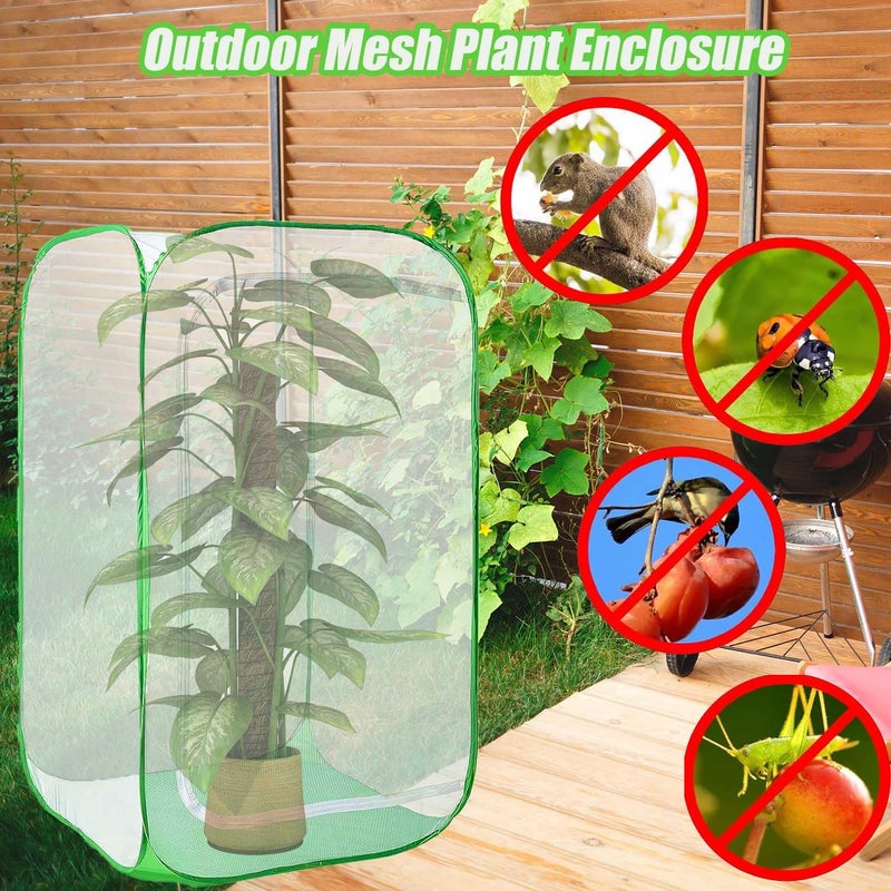 DredQcco 36" Garden Mesh Plant Enclosure Cover, Pop-up Garden Mesh Plant Cover for Pests, Bird and Pest Protection Guard for Fruit, Vegetables, Flowers and Herbs(1Pcs 24x24x36in Having Bottom) - Image 2