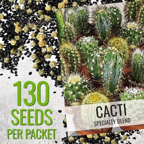 Seed Needs, Mixed Cacti/Cactus Seeds - 130 Seeds for Planting - Great Plants for Indoor Office Spaces, Easy to Grow (1 Pack) - Image 2
