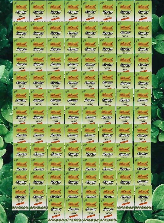 بياري 99 قطع صابون آيورفيدي كركم