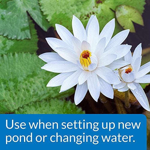 API POND CHLORINE & HEAVY METAL NEUTRALIZER Pond Water Neutralizer 32-Ounce Bottle - Image 2