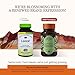 HERBS ETC. Herbs Etc Loviral Lung Health Supplement for Respiratory Defense Support Herbal Supplement with Lomatium Pelargonium OSHA GlutenFree 60 Softgels 60 Servings - Image 4