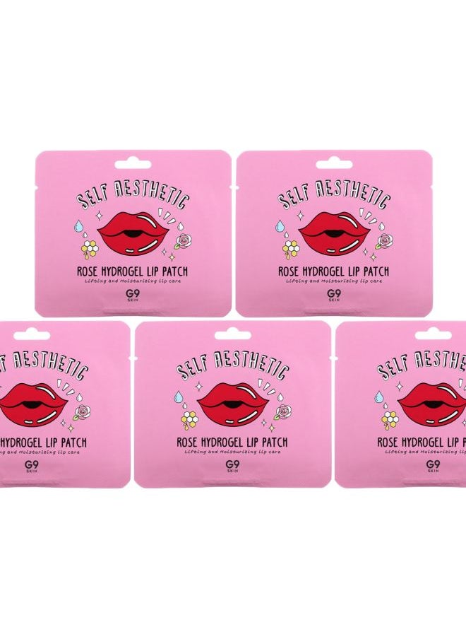 G9SKIN Self Aesthetic Rose Hydrogel Lip Patch 5 Patches 0.1 oz (3 g) Each 