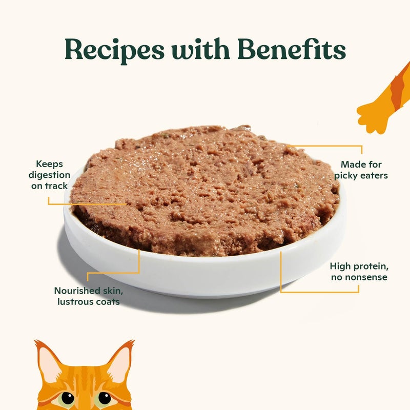 Made by Nacho Pate Wet Cat Food Variety Pack, Chicken, Salmon, and Turkey, 5.5 Ounce Cans, Grain-Free Canned Pet Food, Bone Broth Infused for Hydration, Limited Ingredients, 12 Pack - Image 2