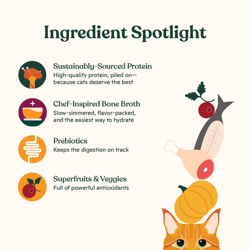 Made by Nacho Pate Wet Cat Food Variety Pack, Chicken, Salmon, and Turkey, 5.5 Ounce Cans, Grain-Free Canned Pet Food, Bone Broth Infused for Hydration, Limited Ingredients, 12 Pack - Image 3