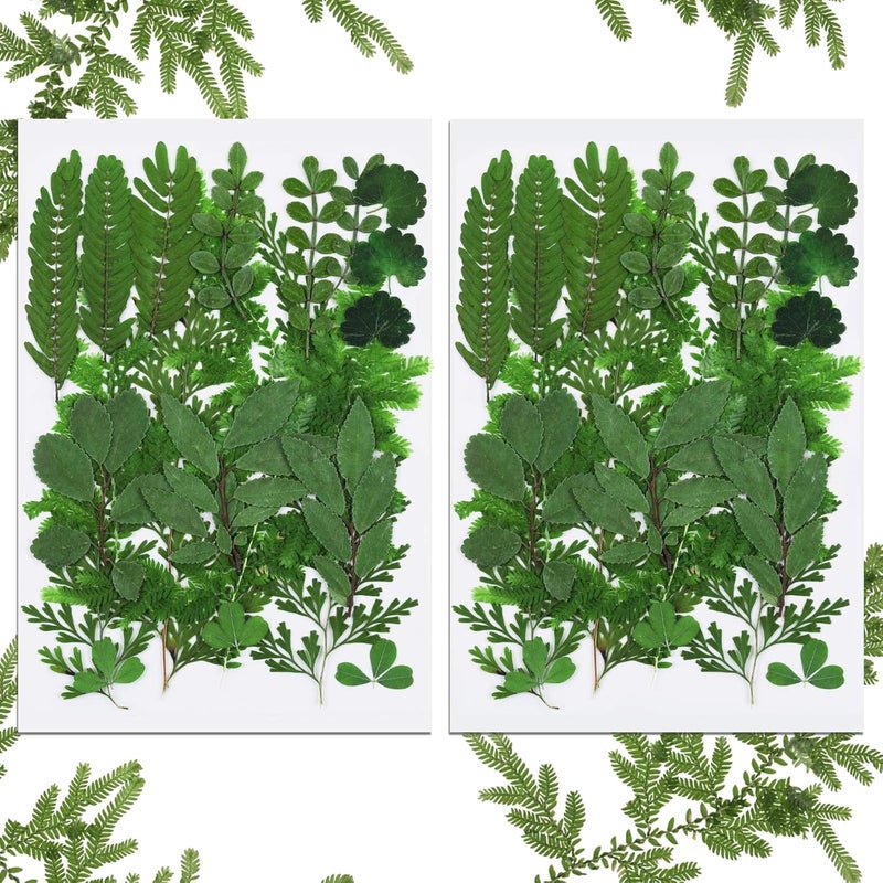 BBTO 42 Pieces Dried Pressed Leaves for Resin Real Assorted Dried Greenery for Pressed Leaf Art Craft DIY Embellishment Decorations, 7 Styles - Image 1