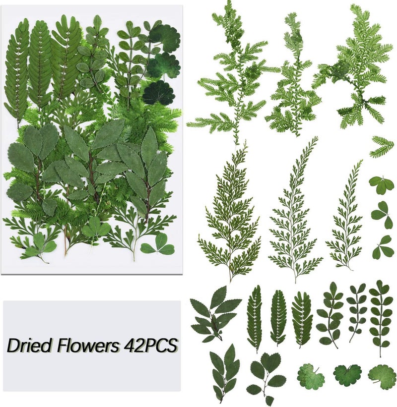 BBTO 42 Pieces Dried Pressed Leaves for Resin Real Assorted Dried Greenery for Pressed Leaf Art Craft DIY Embellishment Decorations, 7 Styles - Image 2