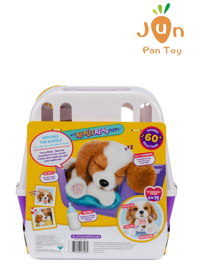 موس أصلي Little Live Pets Moose Toys Patches جرو تفاعلي لعبة حيوان أليف 60 Plus أصوات حركات إطعام إكسسوارات هدية أطفال عمر 4 سنوات فأكثر F0172-8 - Image 5