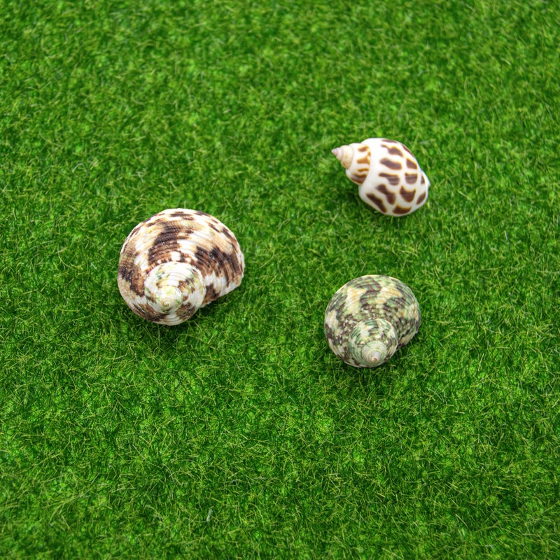 AUEAR, Artificial Garden Grass Life-Like Lawns Squares Fake Fairy Mats Turf Patch Ornament Decoration (3 Pack, 12"x12") - Image 4