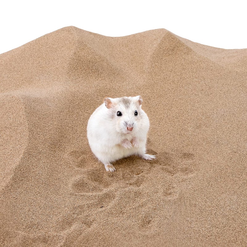 Niteangel Hamster Desert Bath Sand | No-Dust Bath or Potty Litter Sand for Hamster Chinchillas Gerbil Mice Degu or Other Small Pets - Image 5