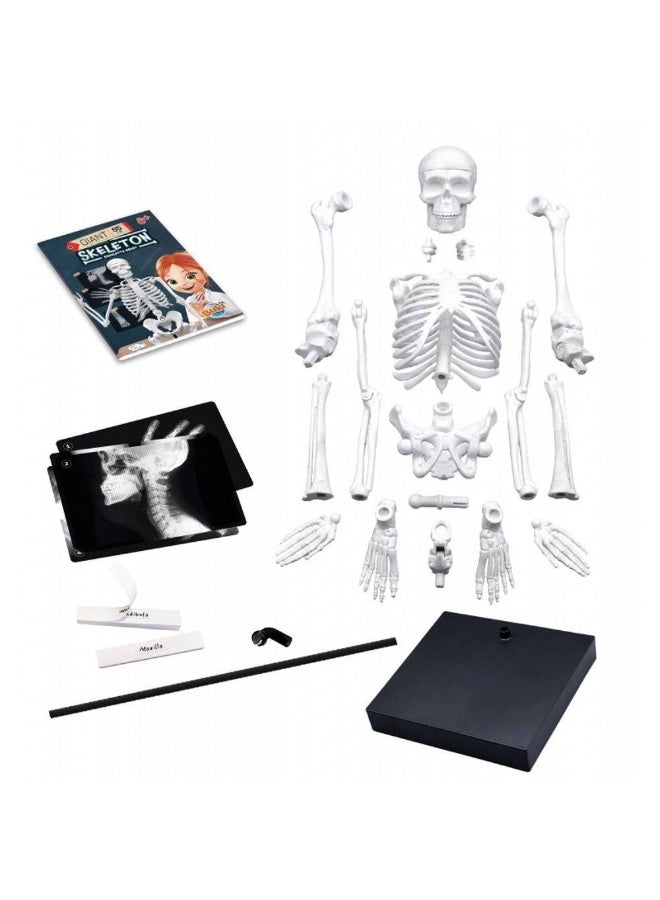 Buki France Giant Skeleton Kit (85 Cm) - Image 2