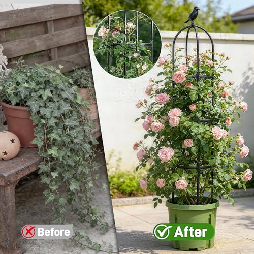 Anothera 6ft Garden Obelisk Trellis for Climbing Plants-Rustproof Metal Pipe with Heavy Duty Plastic Coated, Garden Outdoor Indoor Potted Plant Support for Clematis Vine Jasmine Support （Black） - Image 4