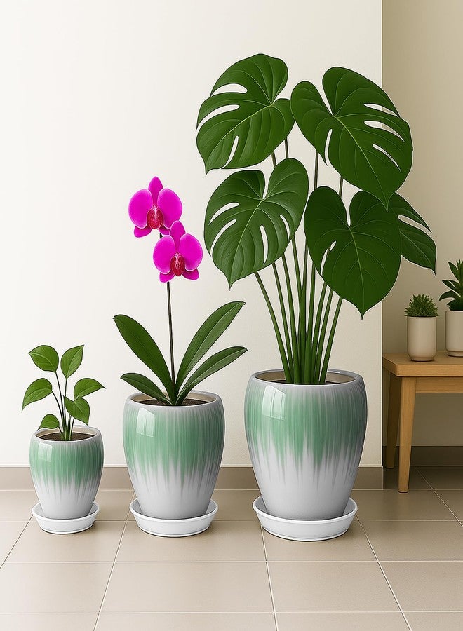 أصص نباتات ديب دريم مقاس 8 بوصات - أصص سيراميك للنباتات مزودة بفتحة تصريف وصحن، أصيص كبير للنباتات الداخلية والديكور الخارجي، أبيض وأخضر - Image 5