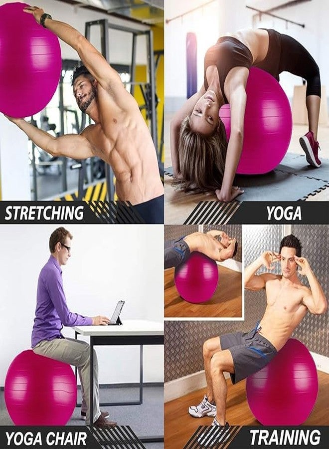 NPB Store Exercise Gym Ball 65cm with Pump Exercise Equipment for Home, Balance, Gym, Core Strength, Yoga, Fitness - Image 3