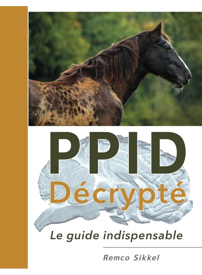 PPID Décrypté: le guide indispensable - Image 1
