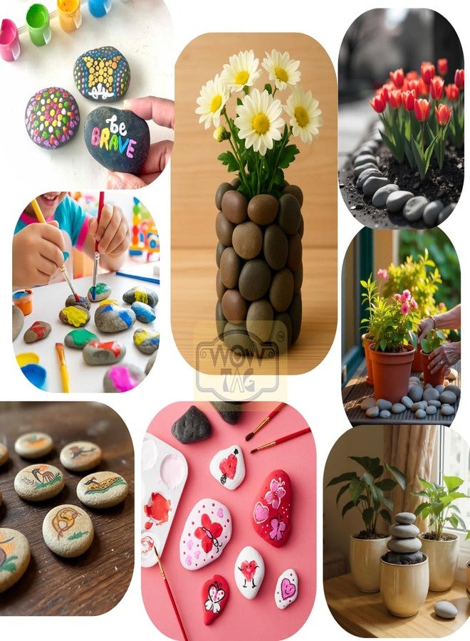 Wowtag Natural Stones (Pack of 10) 3-5 CM, Fishtank, Terrarium Decor, Rock Painting,Home Decor, Non Polished, Plant pots, Table Decor - Image 4