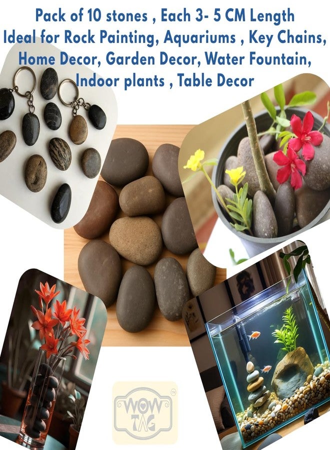 Wowtag Natural Stones (Pack of 10) 3-5 CM, Fishtank, Terrarium Decor, Rock Painting,Home Decor, Non Polished, Plant pots, Table Decor - Image 2