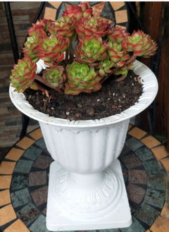 Generic 𝐅𝐅𝐃 Flower Vase Plastic Pots Outdoor Plant Pots Plastic Flower Pots Planter Pots Plastic Gardening Pots Nursery Pot Flower Plant Container Plastic Plant Pot  - Image 5
