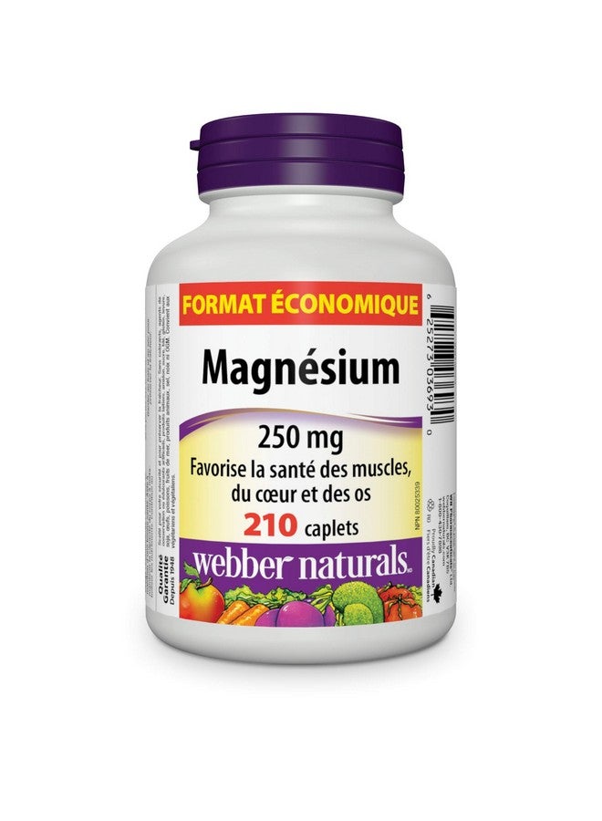 Webber naturals Webber Naturals Magnesium 250 mg, 210 caplets Value Size - Image 2