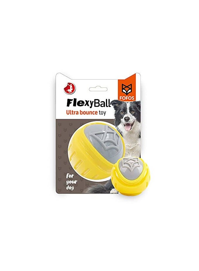 FOFOS Flexy Ball Ultra Bounce Toy FOR DOG (L) - Image 1