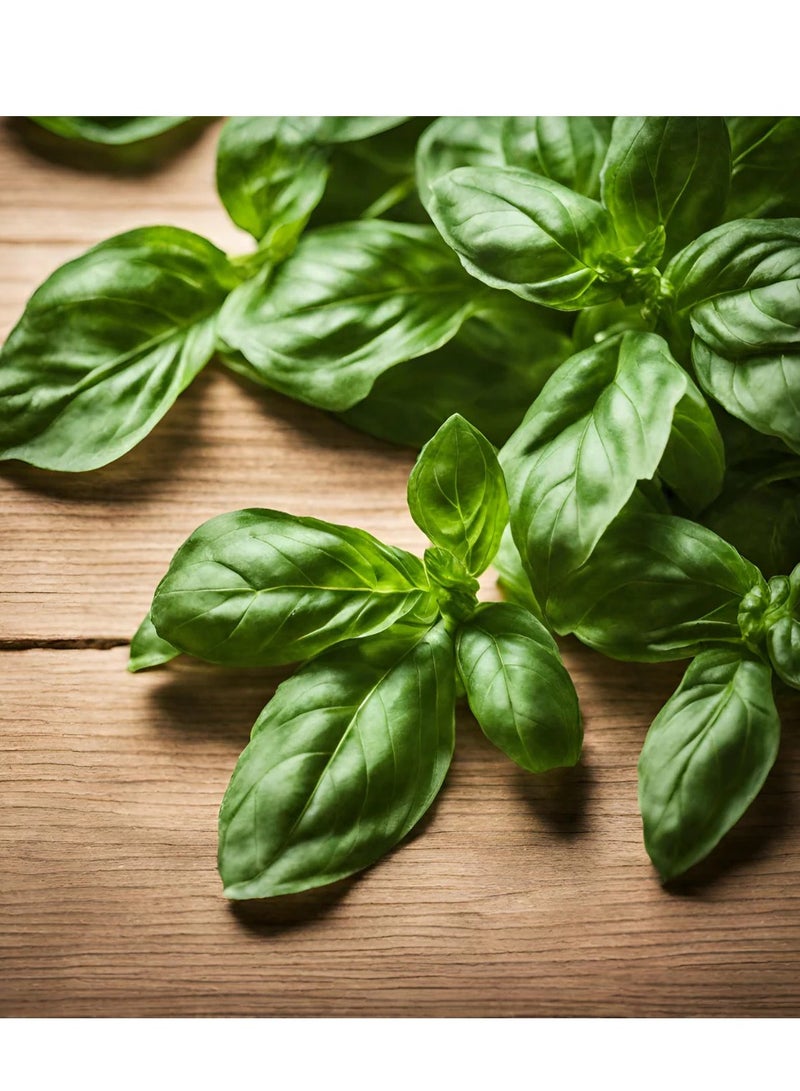GROW basil Seeds - Al Fajr - Image 1