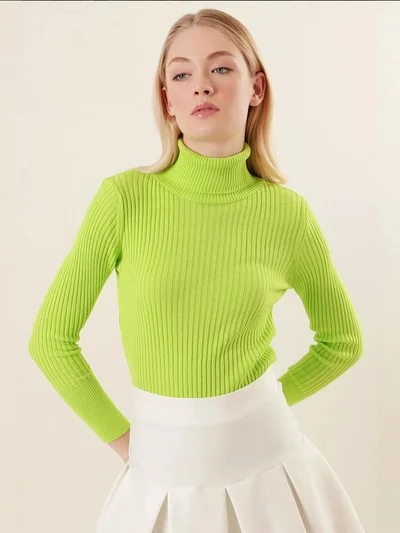 BIG DART BDART Textured Turtleneck Fitted Sweater