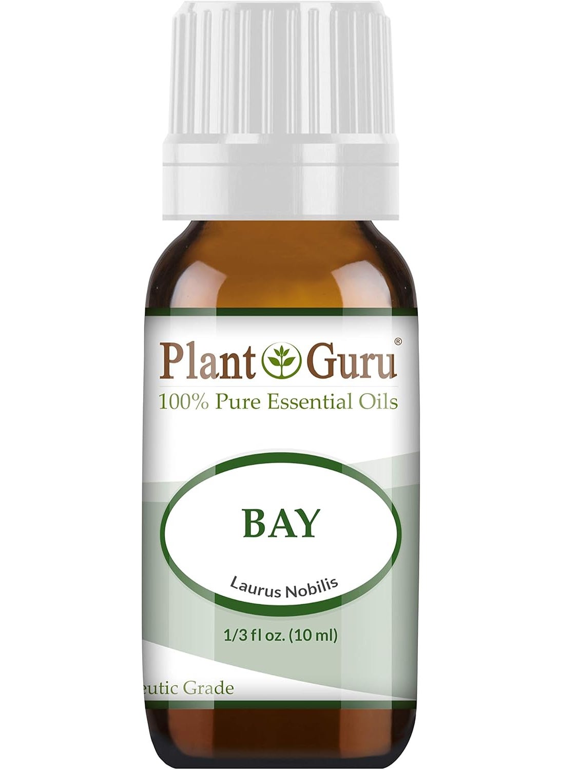 Plant Guru Bay Essential Oil (Laurus nobilis) 10 ml 100% Pure Undiluted Therapeutic Grade. 