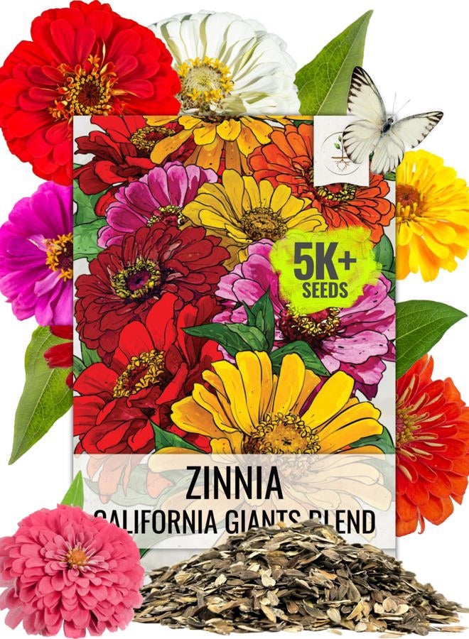 Seed Needs Zinnia Seeds California Giants Variety | 5,000+ Heirloom Seeds Zinnia Elegans Open Pollinated | Prolific Large Multicolor Blooms Makes a Great Cut Flower | Bulk - Image 1