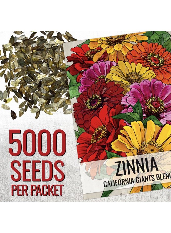 Seed Needs Zinnia Seeds California Giants Variety | 5,000+ Heirloom Seeds Zinnia Elegans Open Pollinated | Prolific Large Multicolor Blooms Makes a Great Cut Flower | Bulk - Image 2