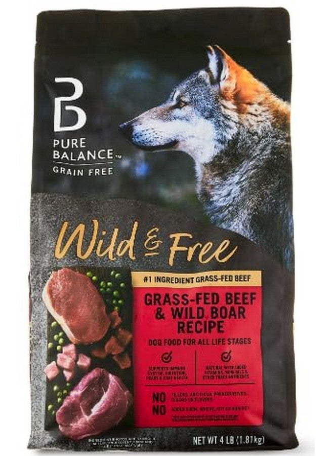 Generic Pure Balance Grain-Free Wild & Free Grass-Feed Beef & Wild Boar Recipe Dry Dog Food, 4 lbs - Image 1