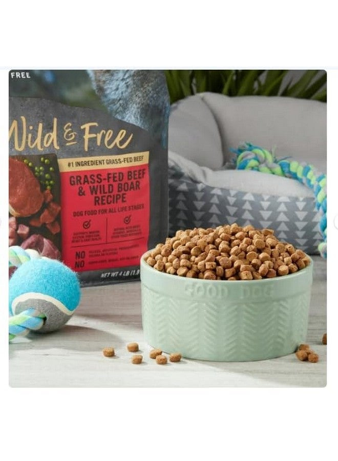 Generic Pure Balance Grain-Free Wild & Free Grass-Feed Beef & Wild Boar Recipe Dry Dog Food, 4 lbs - Image 2