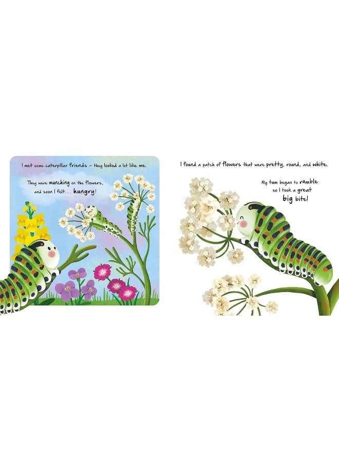 Little Caterpillar  - Image 3