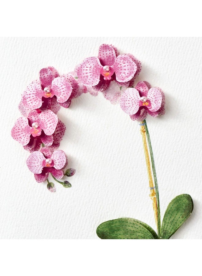 هولمارك بطاقة عيد ميلاد مميزة من Hallmark لها (أوركيد) - Image 4