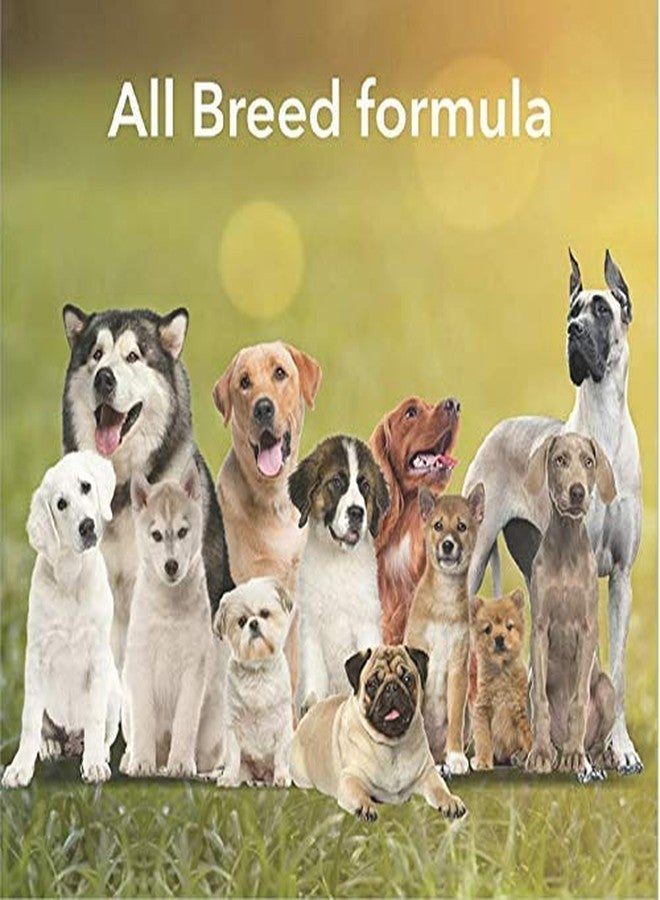 ADB CREATIONS Rawhide Bones for Dogs and Puppies Chicken Flavour Delicious Treats 3 Inch Calcium Chew Bone All Life Stages/Helps in Strengthen Bones and Teeth with Nutritional Benefits - 75 Pieces - Image 5