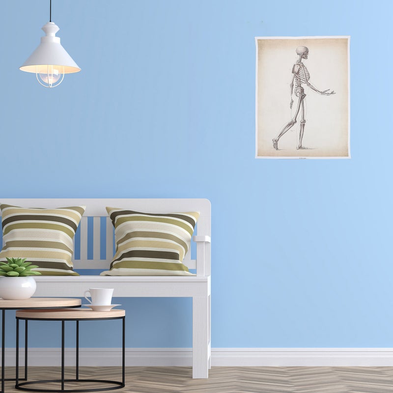 2pcs Human Anatomy Poster Skeletal System Anatomy Poster Science Chart Printed Poster - Image 2