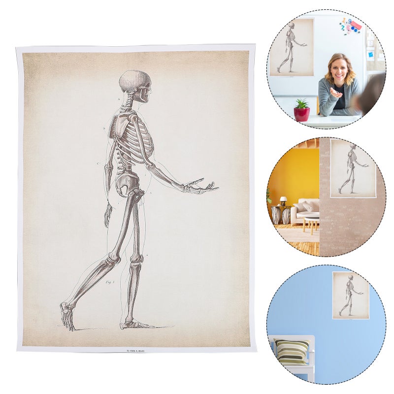 2pcs Human Anatomy Poster Skeletal System Anatomy Poster Science Chart Printed Poster - Image 3