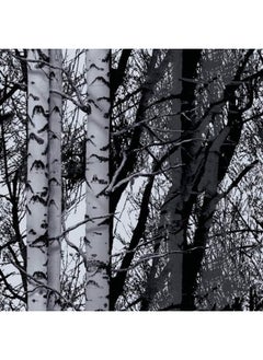 D-C-Fix 346-0611 Decorative Self-Adhesive Film  Birch Wood  17  X 78  Roll