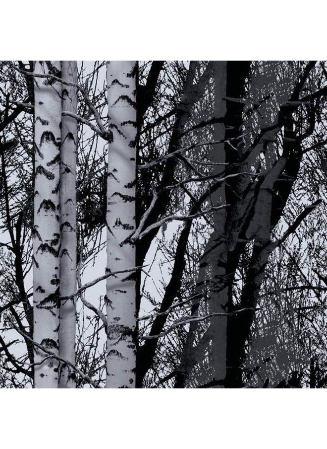 d-c-fix - D-C-Fix 346-0611 Decorative Self-Adhesive Film  Birch Wood  17  X 78  Roll - Image 1