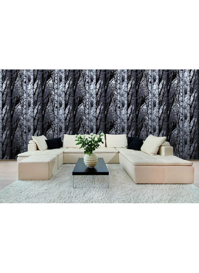 d-c-fix - D-C-Fix 346-0611 Decorative Self-Adhesive Film  Birch Wood  17  X 78  Roll - Image 1
