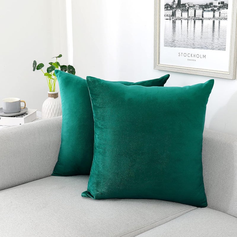 NiNi ALL Decorative Throw Pillow Covers Velvet Soft for Couch Sofa Bedroom Living Room Outdoor Pack of 2 20x20 Inch Teal - Image 1