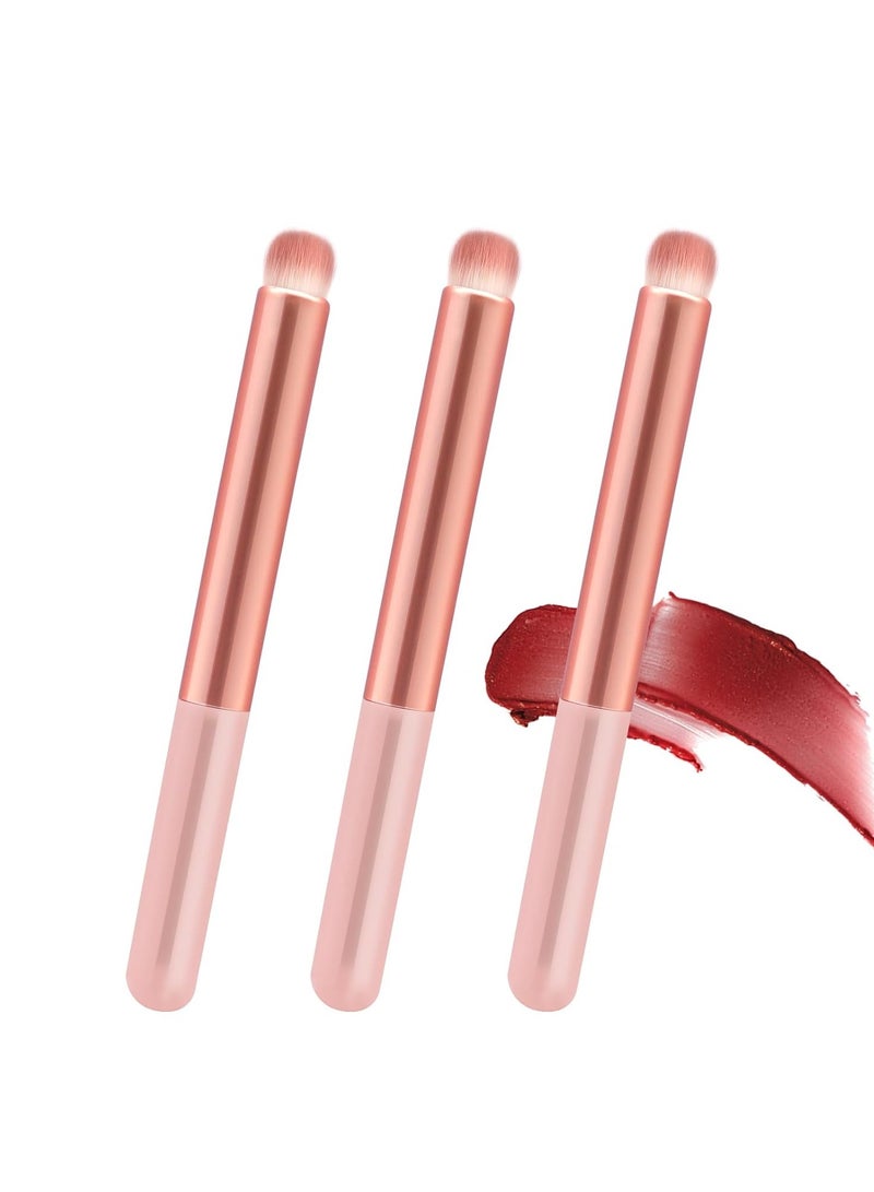 Banidy Lip Brush Lip Smudge Brushes Lipstick Brush with Tubes 3PCS Lip Gloss Applicator Wands Lip Brushes Multi-purpose Lip Makeup Brush Eyeshadow Brush Concealer Brush Lip Gloss Wands Applicator Tool Kits  - Image 1